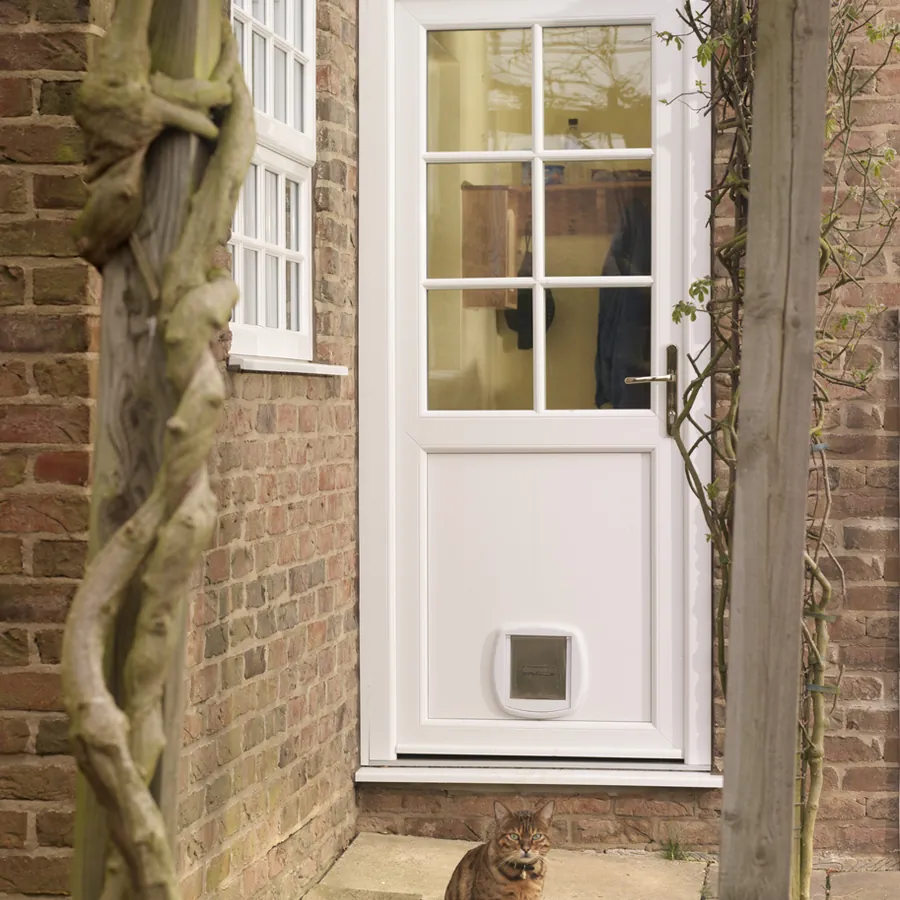 Composite Doors — Product Plaistow