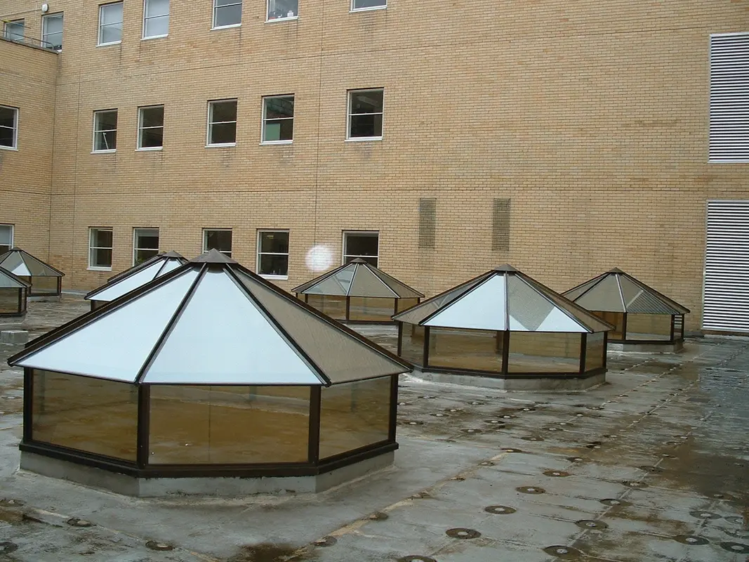 Flat Roof Skylights Plaistow